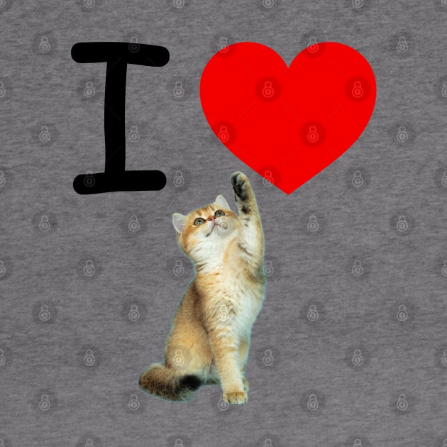 I HEART CARMEL KITTEN by EmoteYourself